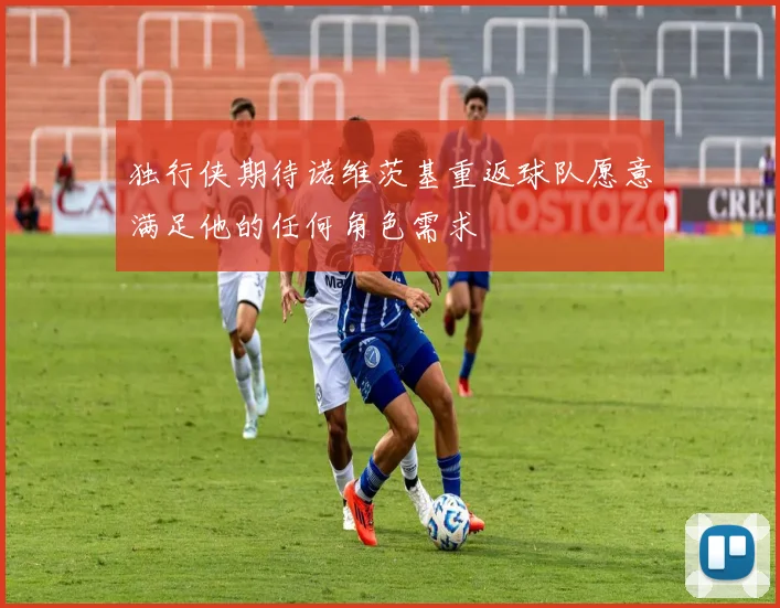 独行侠期待诺维茨基重返球队愿意满足他的任何角色需求